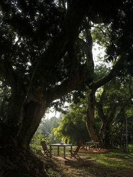 Comilla Wathurugama