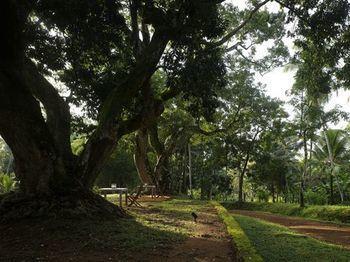 Comilla Wathurugama